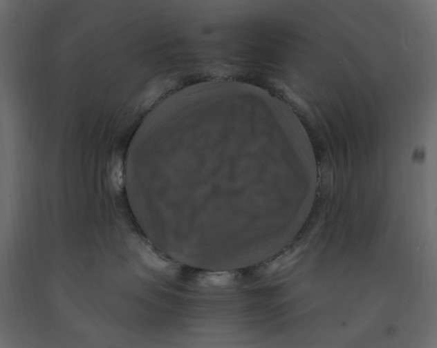 X0000091960479200710041032