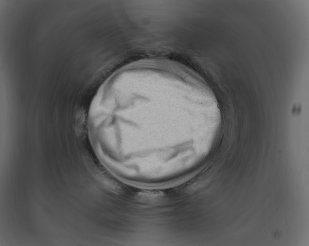 X0000091960480200710041032