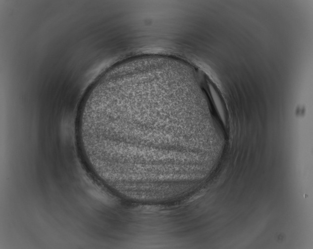 X0000091960482200710041031
