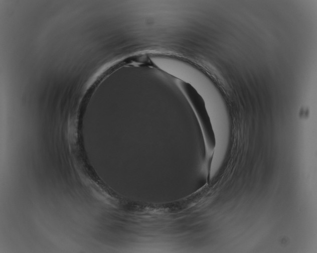 X0000091960484200710041031