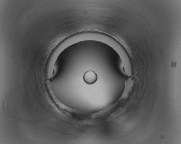 X0000091960485200710041031