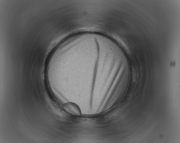 X0000091960486200710041031