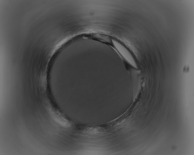 X0000091960488200710041031