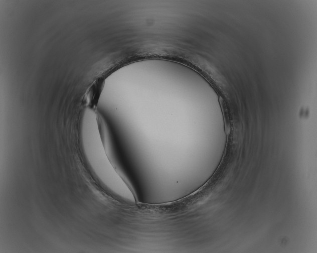 X0000091960489200710041031
