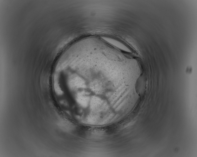 X0000091960491200710041031