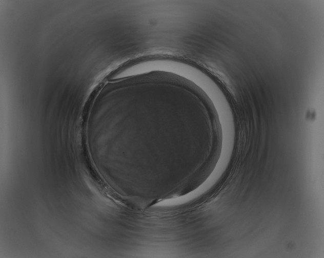 X0000091960492200710041031