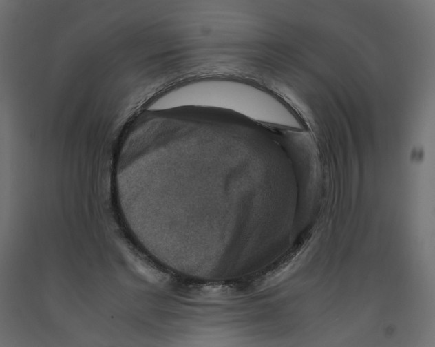 X0000091960493200710041031