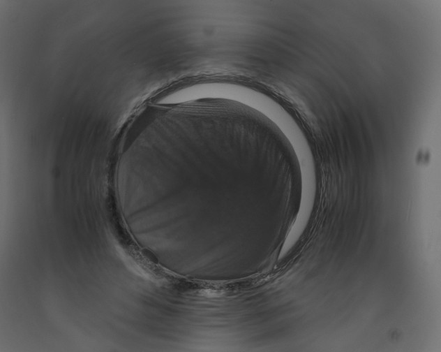 X0000091960496200710041031