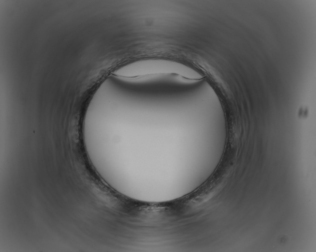 X0000091960497200710041031