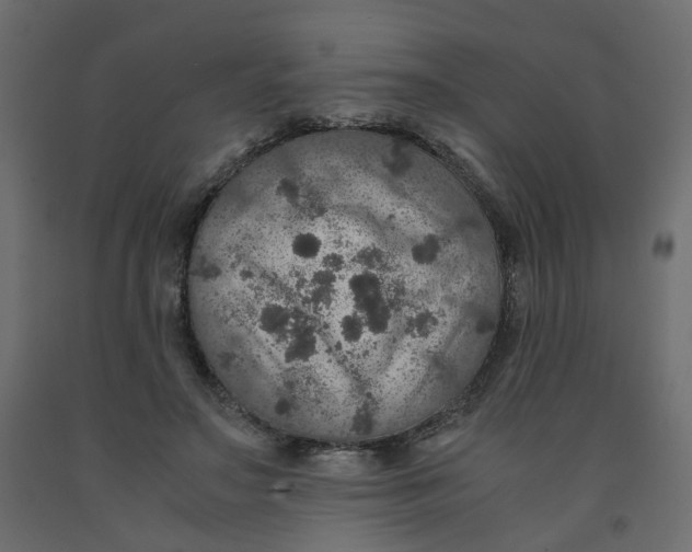 X0000091960499200710041031