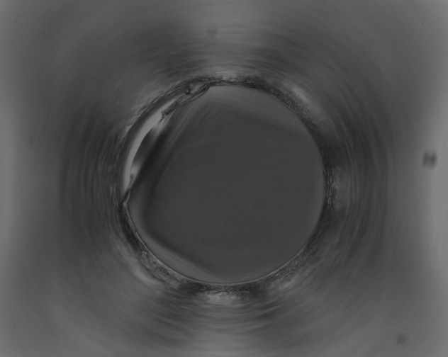 X0000091960500200710041031