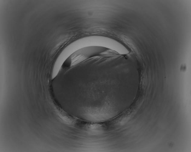 X0000091960501200710041031