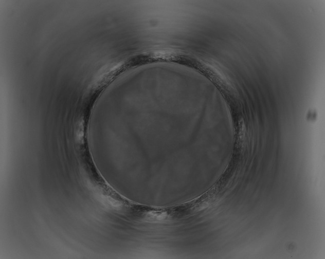 X0000091960502200710041031