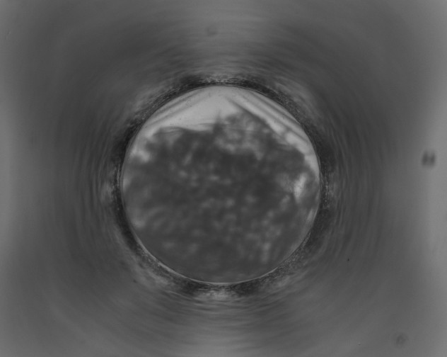 X0000091960503200710041031