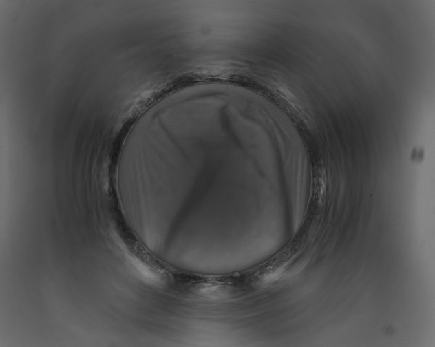 X0000091960504200710041031