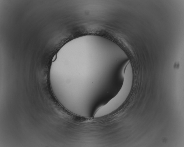 X0000091960505200710041031