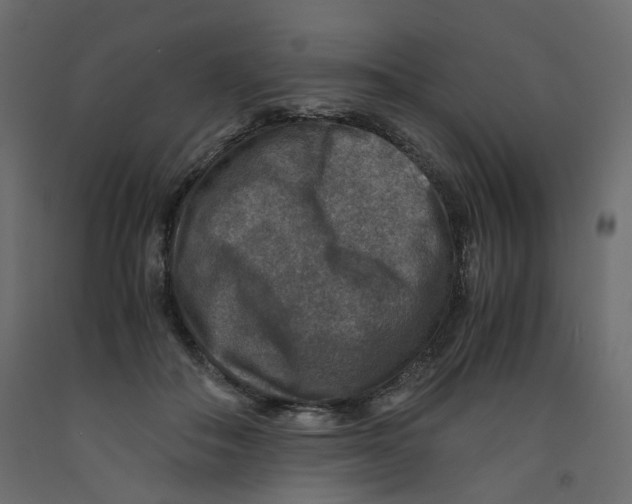 X0000091960506200710041031