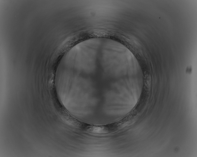 X0000091960507200710041031