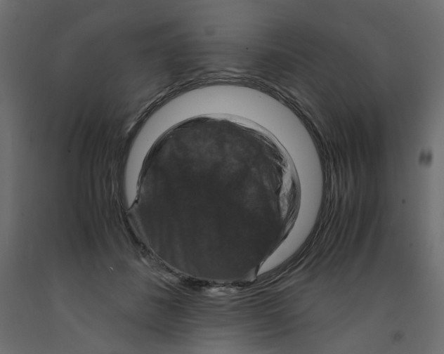X0000091960508200710041031