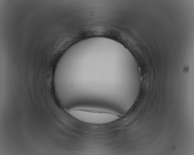 X0000091960509200710041031