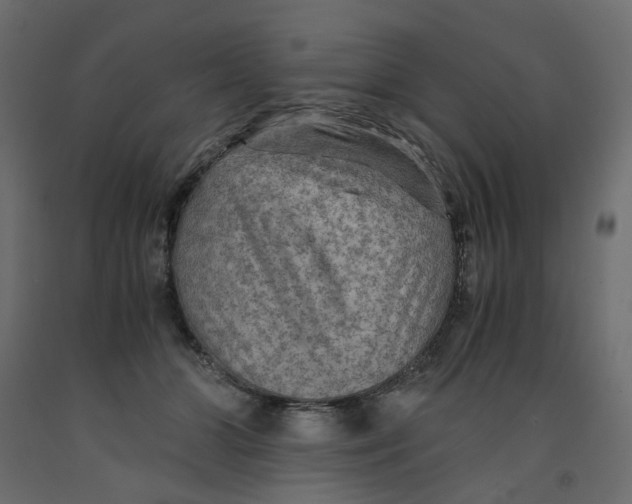 X0000091960510200710041031