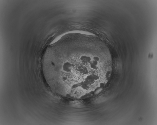 X0000091960511200710041031