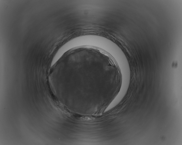 X0000091960512200710041031