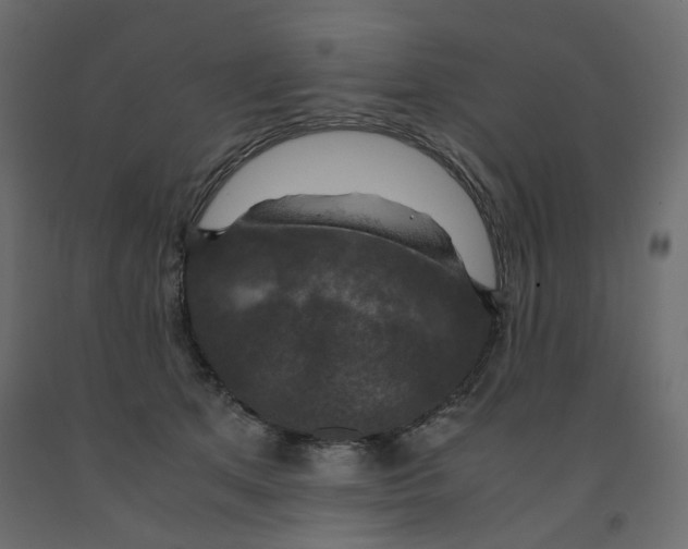 X0000091960513200710041031