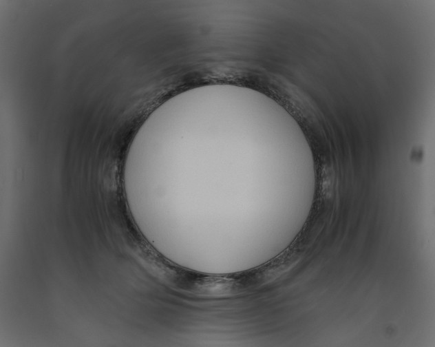 X0000091960514200710041031