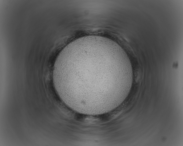 X0000091960515200710041031