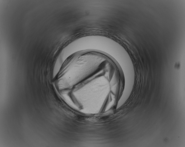 X0000091960516200710041031