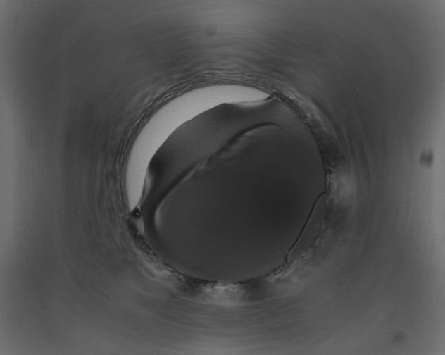X0000091960517200710041031
