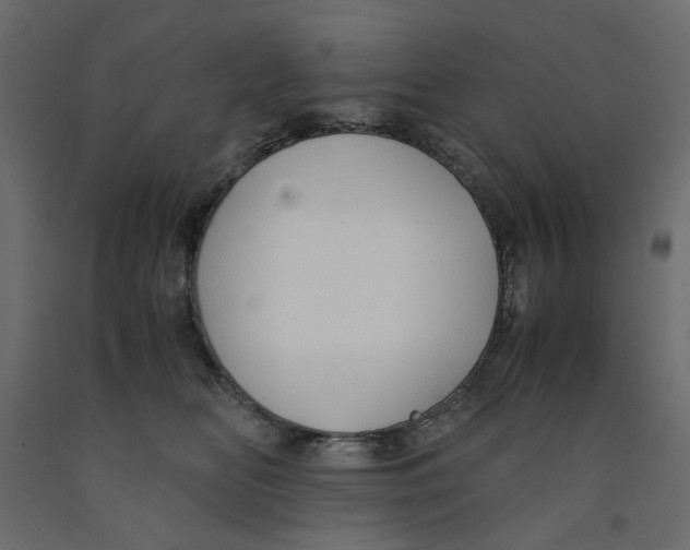 X0000091960518200710041031