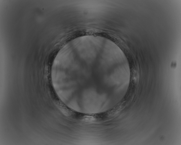 X0000091960519200710041031