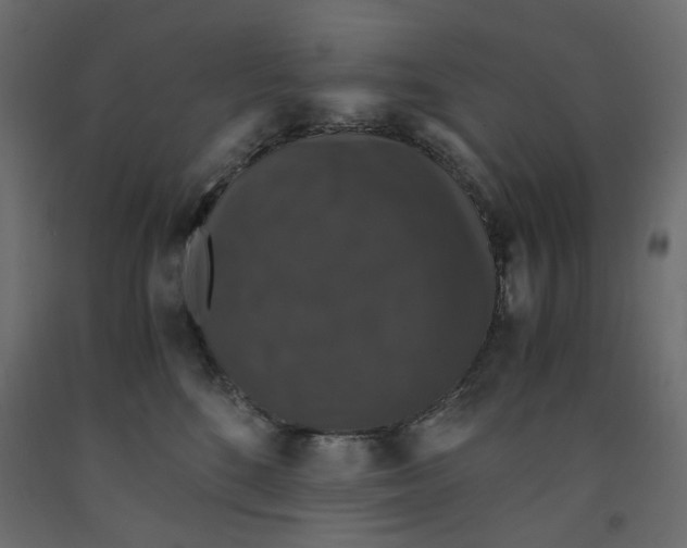 X0000091960520200710041031