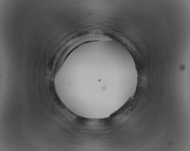 X0000091960521200710041031