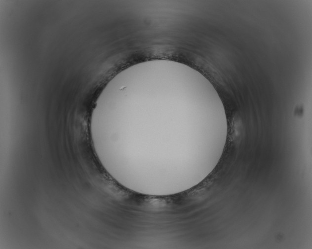 X0000091960522200710041031