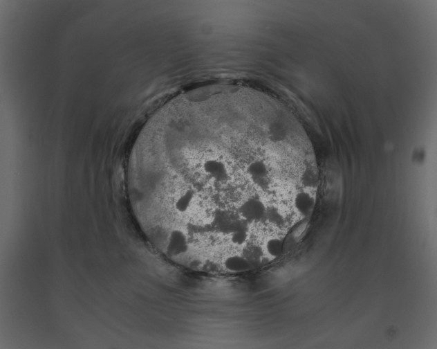 X0000091960523200710041031