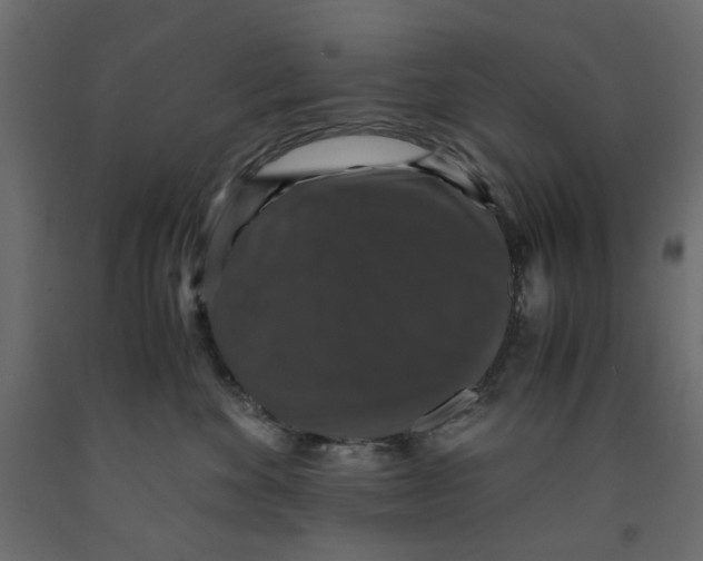 X0000091960524200710041031