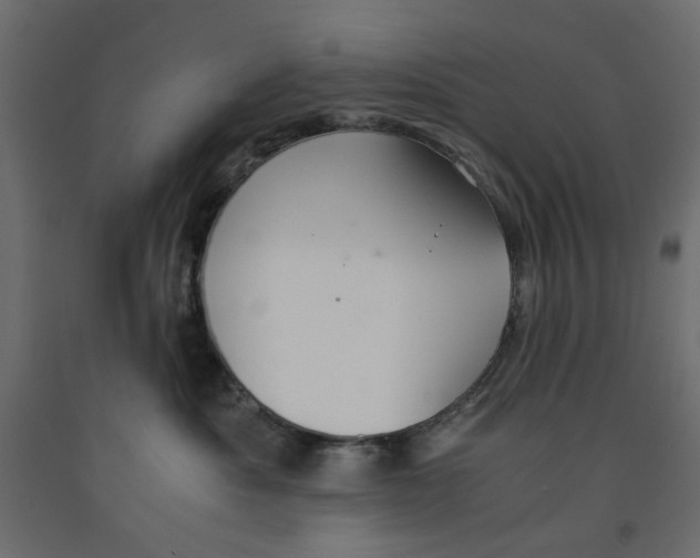 X0000091960525200710041031