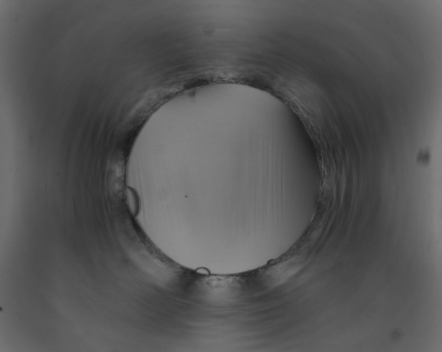 X0000091960526200710041031