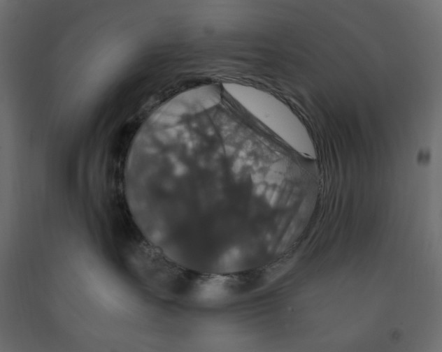 X0000091960527200710041031