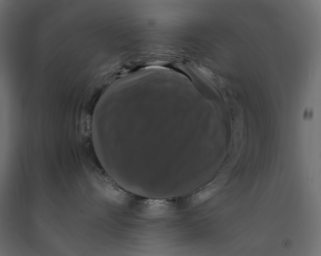 X0000091960528200710041031
