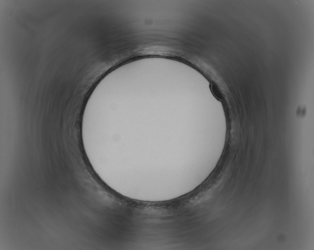 X0000091960529200710041030