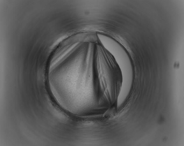 X0000091960530200710041030