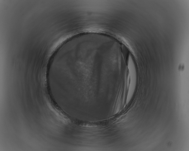 X0000091960531200710041030