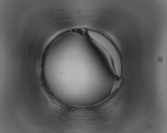 X0000091960532200710041030