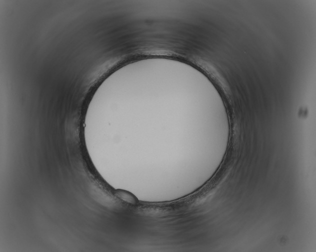 X0000091960533200710041030
