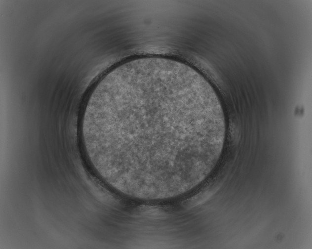 X0000091960534200710041030