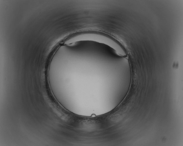 X0000091960535200710041030
